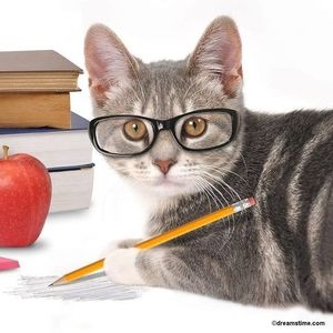 Meet your Posher, Vickie